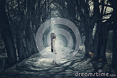 Halloween mystical forest with ghost Stock Photo