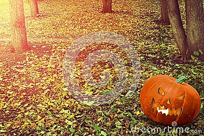 Halloween Mystical Jack O. Pumpkin lantern in a foggy forest. Spooky Halloween Poster. Halloween background wallpaper with pumpkin Stock Photo