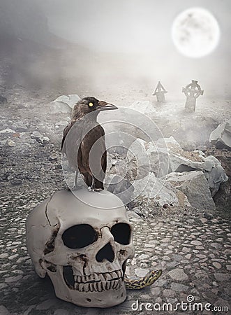 Halloween mystical landscape with skull and crow Stock Photo