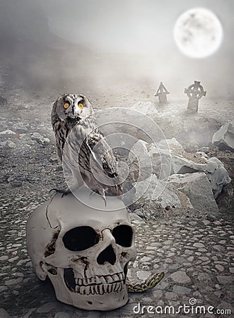 Halloween mystical landscape with skull and owl Stock Photo