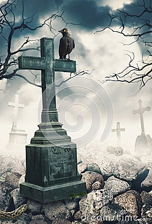 Halloween mystical spooky background with raven and cross Stock Photo