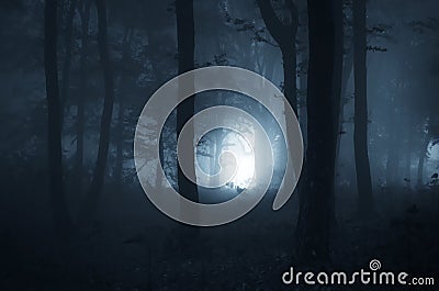 Halloween night in a mystical forest Stock Photo