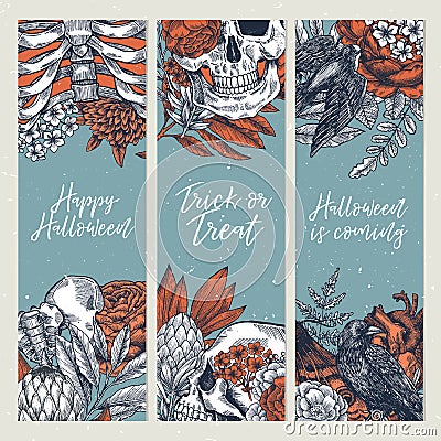 Halloween party vertical design templates. Vintage floral anatomy backgrounds. Vector illustration Vector Illustration