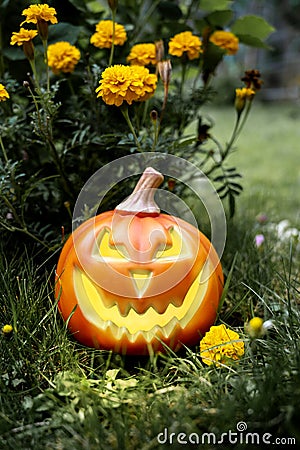 Halloween pimpkin, jack-o-lantern on festive background Stock Photo