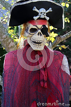 Halloween pirate skeleton Stock Photo
