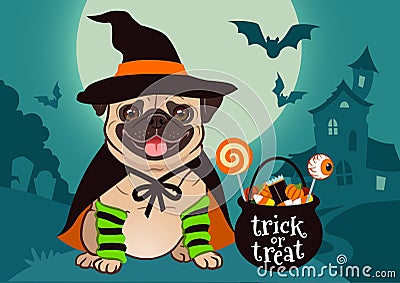Halloween pug dog dressed as witch with hat, cape, cauldron with Stock Photo
