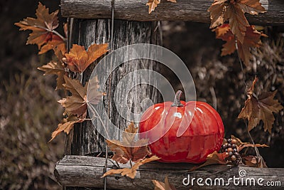 halloween pumpkin decorations and leaves and skulls autum fall colors Stock Photo