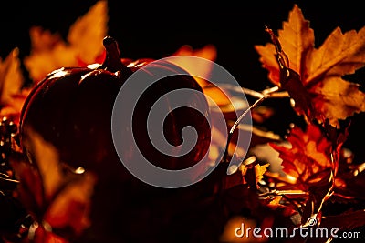 halloween pumpkin decorations and leaves and skulls autum fall colors Stock Photo