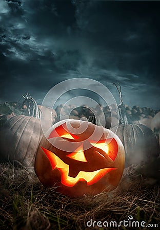 Halloween Pumpkin Field With a Grinning Jack O Lantern Stock Photo