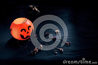 Halloween pumpkin head with dry flowers on black clothes in natural sunlight. Halloween holiday concept Stock Photo