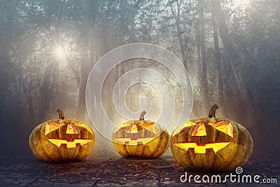 Halloween pumpkin head in spooky woods background Stock Photo