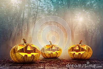 Halloween pumpkin head in spooky woods background Stock Photo