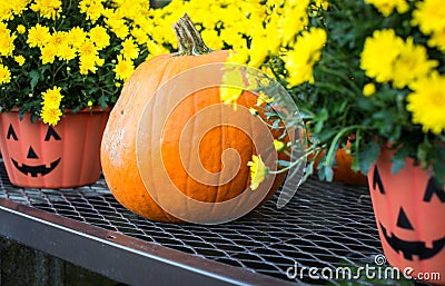 Halloween pumpkin Stock Photo