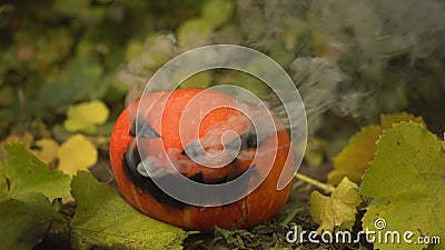 Halloween pumpkin is smoking. Jack lantern lies on the ground at the holiday. Stock Photo
