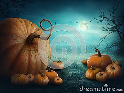 Halloween pumpkins Stock Photo