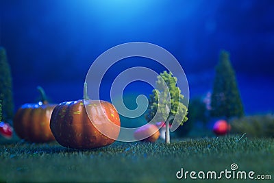 Halloween Pumpkins in a forest in a clearing in the moonlight Halloween background. Fairy tale. Macro. Artificial magic dreamy Stock Photo