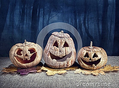 Halloween pumpkins in the forest Stock Photo