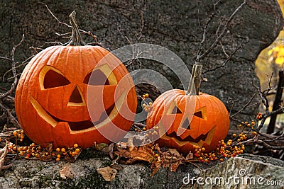 Halloween pumpkins on rocks in forest Stock Photo