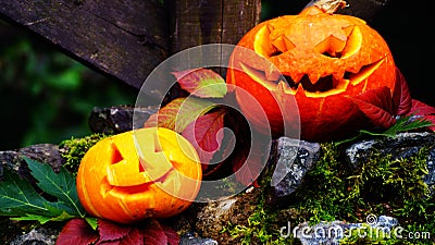 Halloween pumpkins on stone with moss in a creepy forest Stock Photo