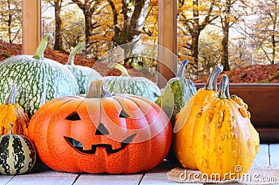 Halloween pumpkins. Stock Photo