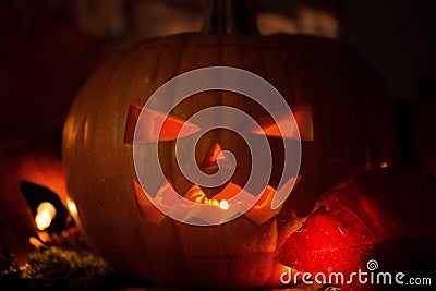 Halloween Pumpkins On Wood In A Spooky Forest At Night, with scary light background Stock Photo