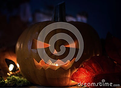 Halloween Pumpkins On Wood In A Spooky Forest At Night, with scary light background Stock Photo