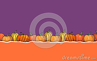 Halloween purple and orange color torn paper backround with pumpkins border Cartoon Illustration