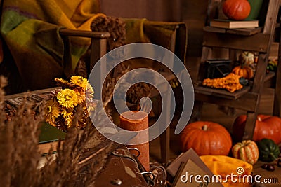 Halloween and retro style concept Stock Photo