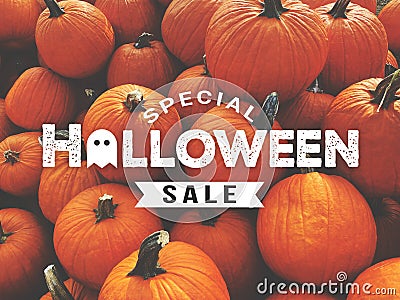 Halloween Sale Card with Fall Pumpkins Background Stock Photo