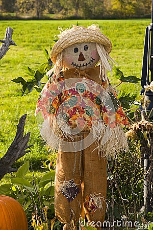 Halloween scarecrow Stock Photo