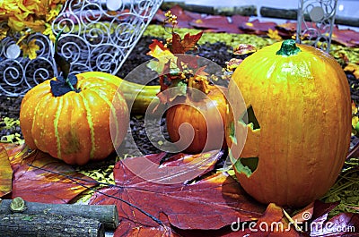 Halloween scene Stock Photo