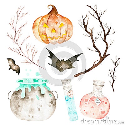 This halloween set included magic cauldron,potion bottles,bats,branches and crazy pumpkin. Stock Photo