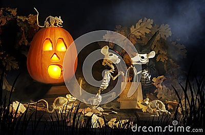 Halloween Skeleton Rats Stock Photo