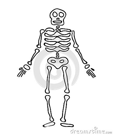 Halloween skeleton vector symbol icon design. Vector Illustration