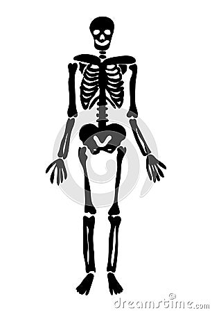 Halloween skeleton vector symbol icon design. Vector Illustration