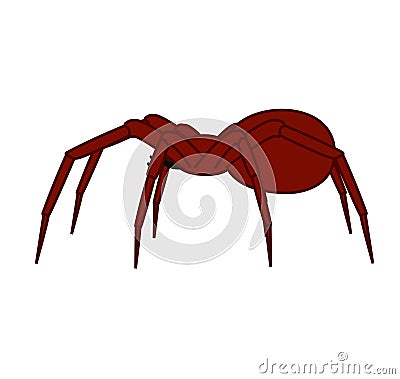 Halloween Spider Vector Stock Photo