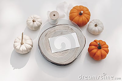 Halloween stationery still life. Blank business card, invitation mockup on cut wooden round board. White, orange little Stock Photo