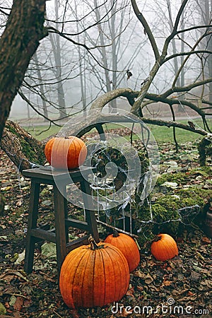 Halloween theme decoration with pumpkins Stock Photo