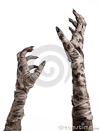 Halloween theme: terrible old mummy hands on a white background Stock Photo