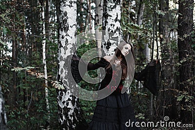 Halloween Witch in a dark forest. Beautiful young woman in witches costume . Halloween art design. Horror Background For Halloween Stock Photo