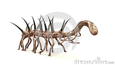 Hallucigenia, prehistoric aquatic animal from the Cambrian Period isolated on white background 3d paleoart illustration Stock Photo