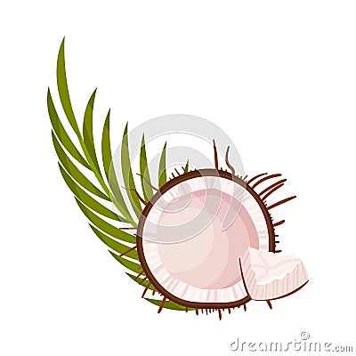 Halved Coconut with Hard Shell and Fibrous Husk and Pinnate Leaf Vector Illustration Vector Illustration