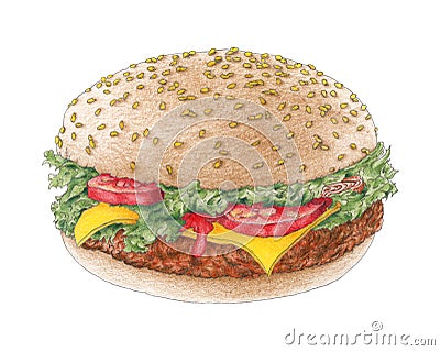 Hamburger on a bun over white background Stock Photo