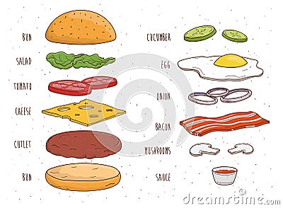 Hamburger ingredients separately. Bun, salad, tomato, cheese, cutlet, egg, bacon, mushrooms, onion, ketchup. Colorful Vector Illustration