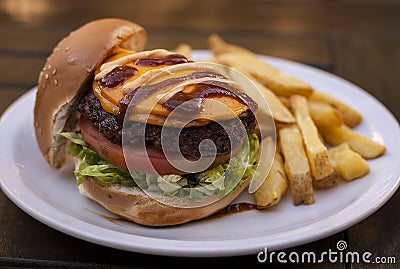 Hamburguer sandwich and french fries Stock Photo