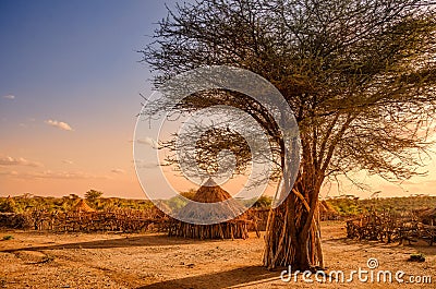 Hamer village near Turmi, Ethiopia Stock Photo