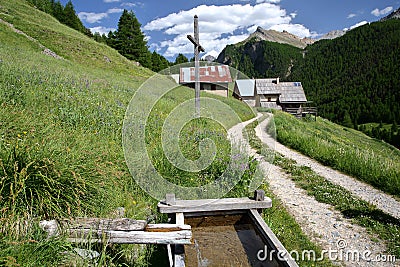 The hamlet Les Chalmettes, located above Ceillac village along Cristillan valley, with pine tree forests in the background Stock Photo