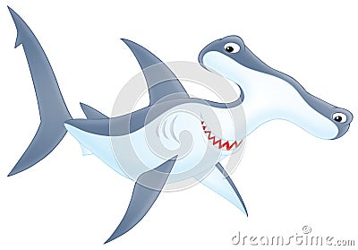 Hammer-headed shark Stock Photo