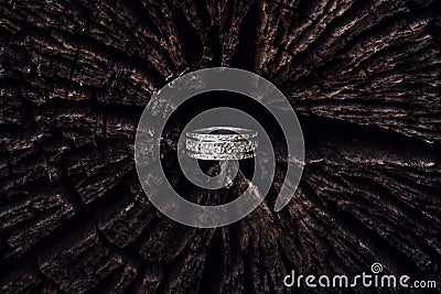 Hammered silver ring in the tree Stock Photo