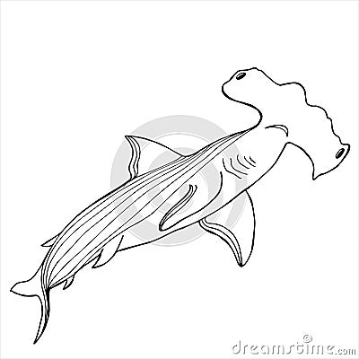 Hammerhead shark. Coloring book. Hand drawing coloring book for children and adults. Beautiful drawings with patterns and small Stock Photo